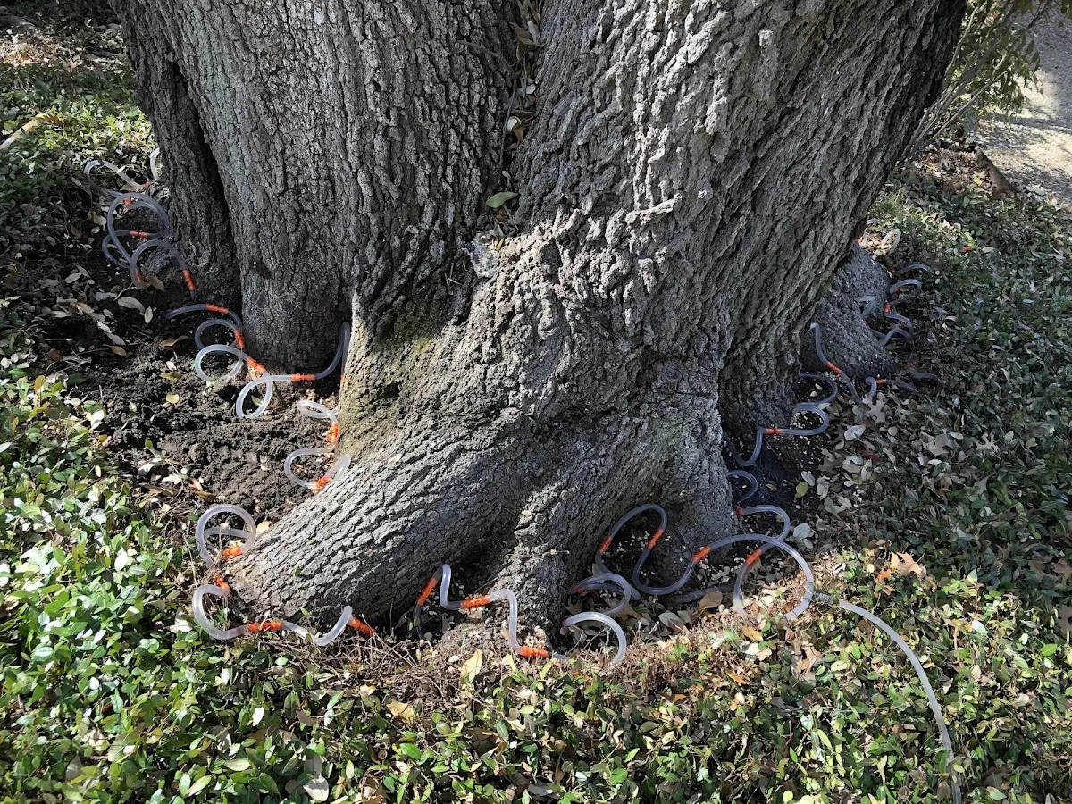 Detailed Shrub and Hedge Trimming job site in Old Fort