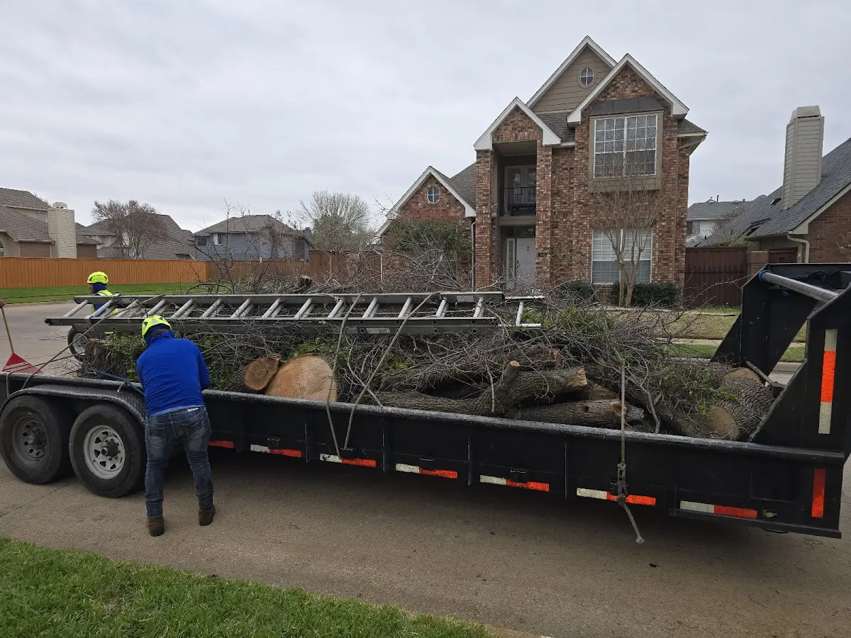 Expert Tree Removal with proper safety equipment in Old Fort